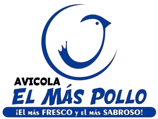 Create Grupo Coder Sac